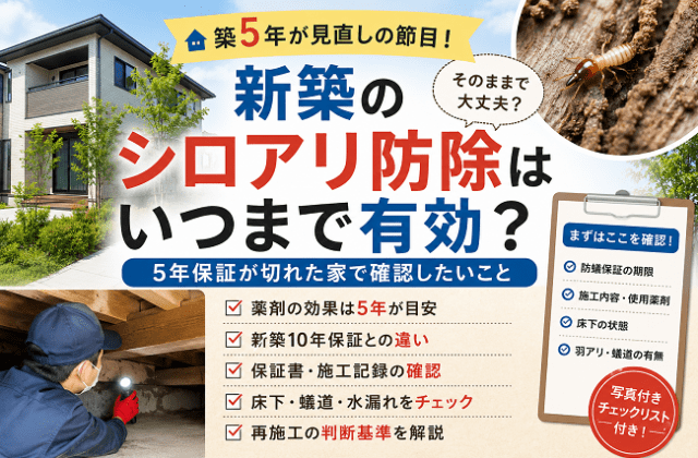 新築のシロアリ防除は何年持つ？5年保証が切れた家で確認したいこと