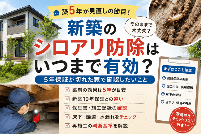 新築のシロアリ防除は何年持つ？5年保証が切れた家で確認したいこと