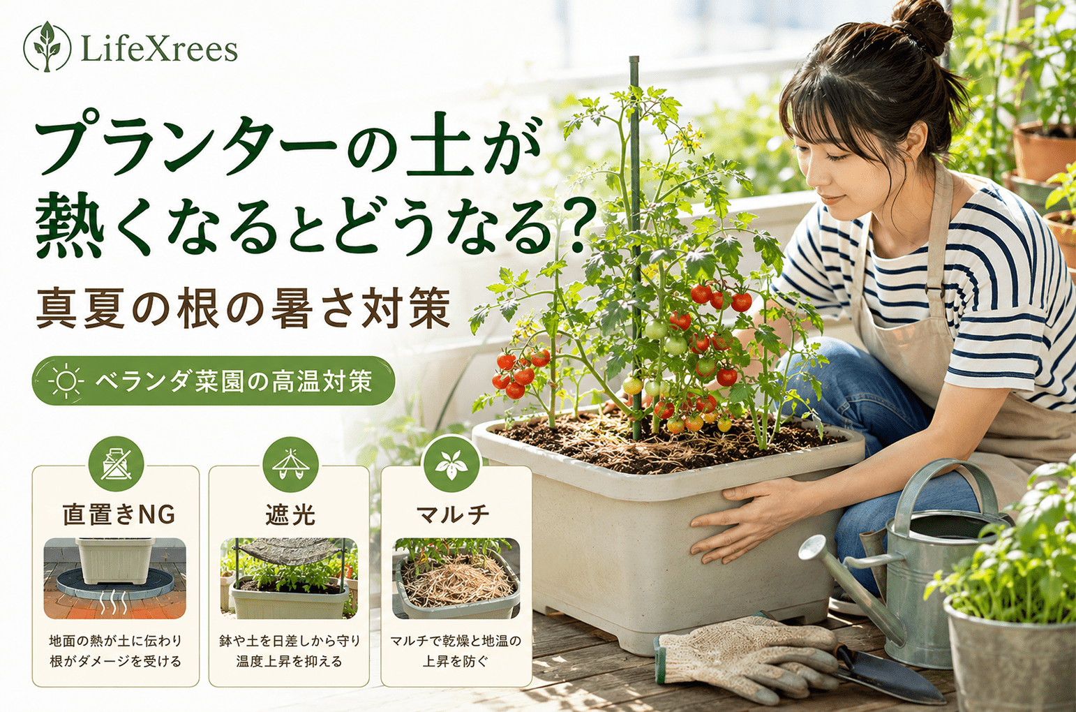 プランターの土が熱くなるとどうなる？真夏の根の暑さ対策