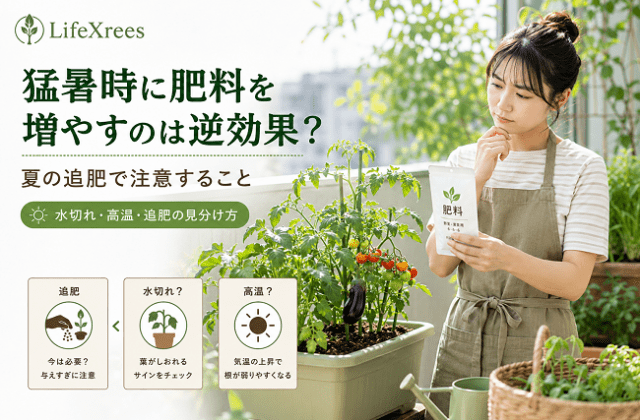 猛暑時に肥料を増やすのは逆効果？夏の追肥で注意すること