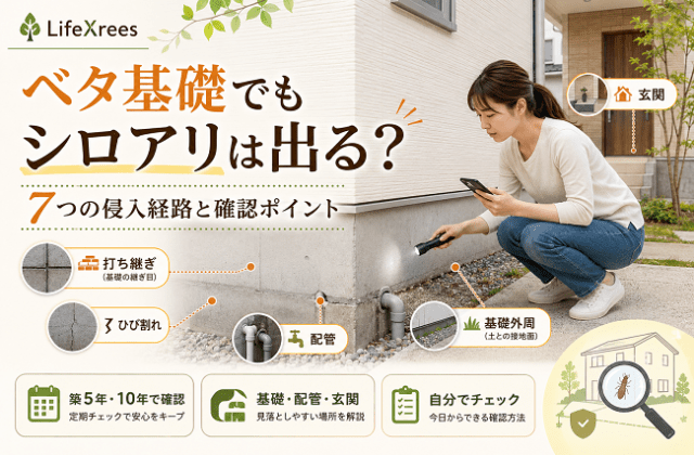ベタ基礎でもシロアリは出る？7つの侵入経路と自分でできる確認方法