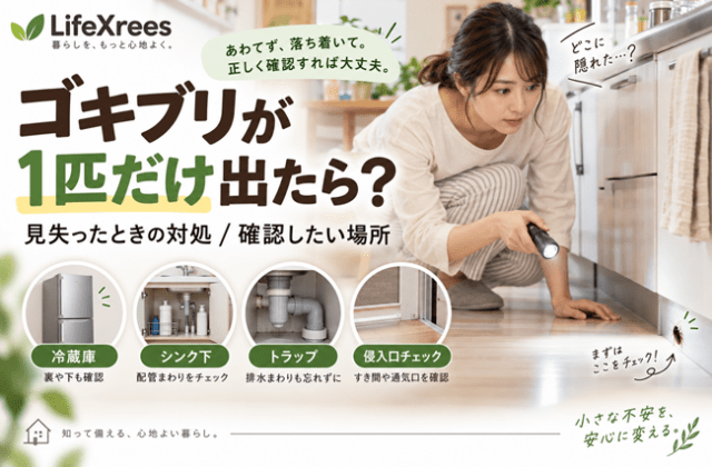 ゴキブリが1匹だけ出たらどうする？見失ったときの対処と確認したい場所