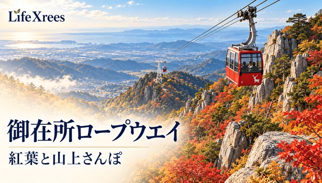 御在所ロープウエイの紅葉2026｜山上・中腹の見頃と乗り場・散策の計画