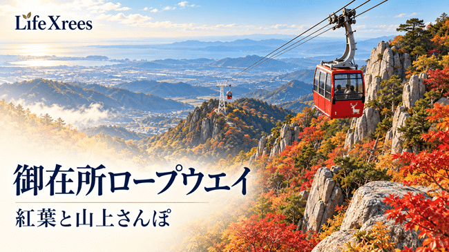 御在所ロープウエイの紅葉2026｜山上・中腹の見頃と乗り場・散策の計画