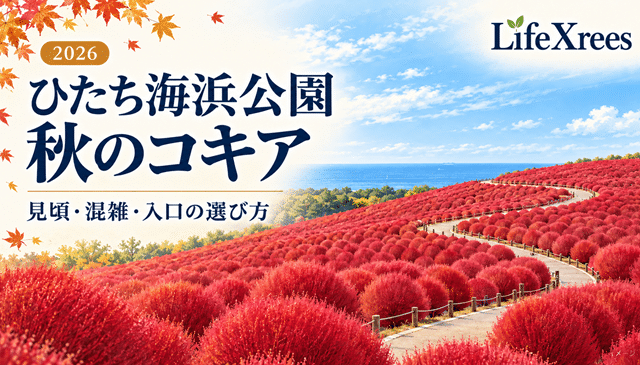 ひたち海浜公園のコキア2026｜見頃・混雑・駐車場と入口の選び方