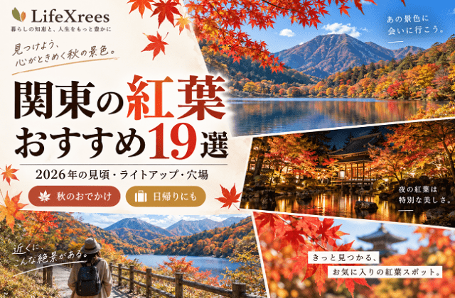 関東の紅葉おすすめスポット19選｜2026年の見頃・ライトアップ・穴場