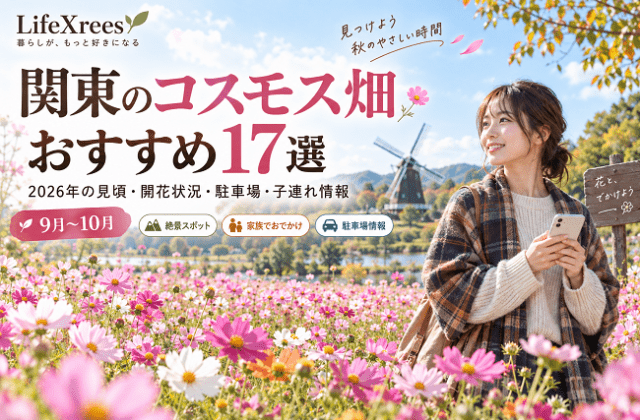 関東のコスモス畑おすすめ17選｜2026年の見頃・開花状況・駐車場・子連れ情報