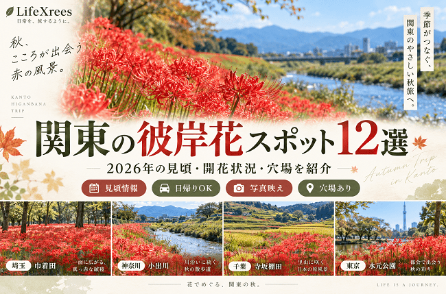 関東の彼岸花スポット12選|2026年の見頃・開花状況・穴場を紹介