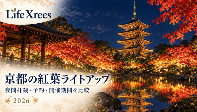 京都の紅葉ライトアップ2026｜清水寺・東寺・永観堂など夜間拝観を比較