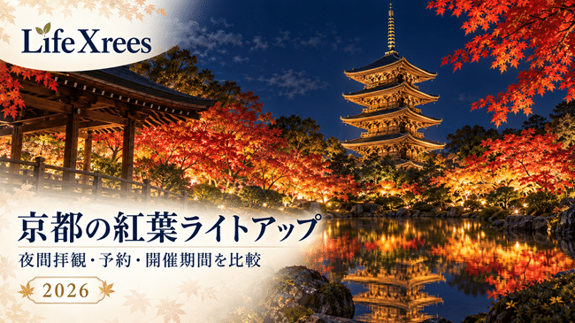 京都の紅葉ライトアップ2026|清水寺・東寺・永観堂など夜間拝観を比較