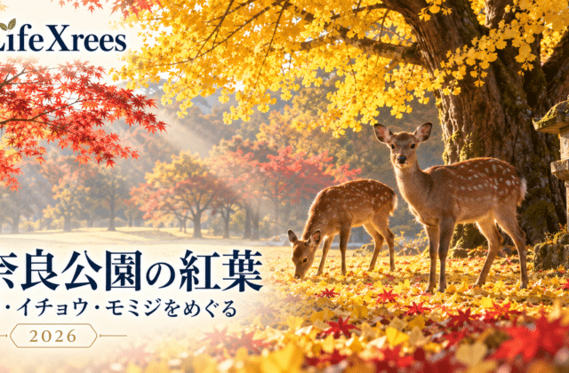 奈良公園の紅葉2026｜鹿とイチョウ・モミジを見られる場所と歩き方