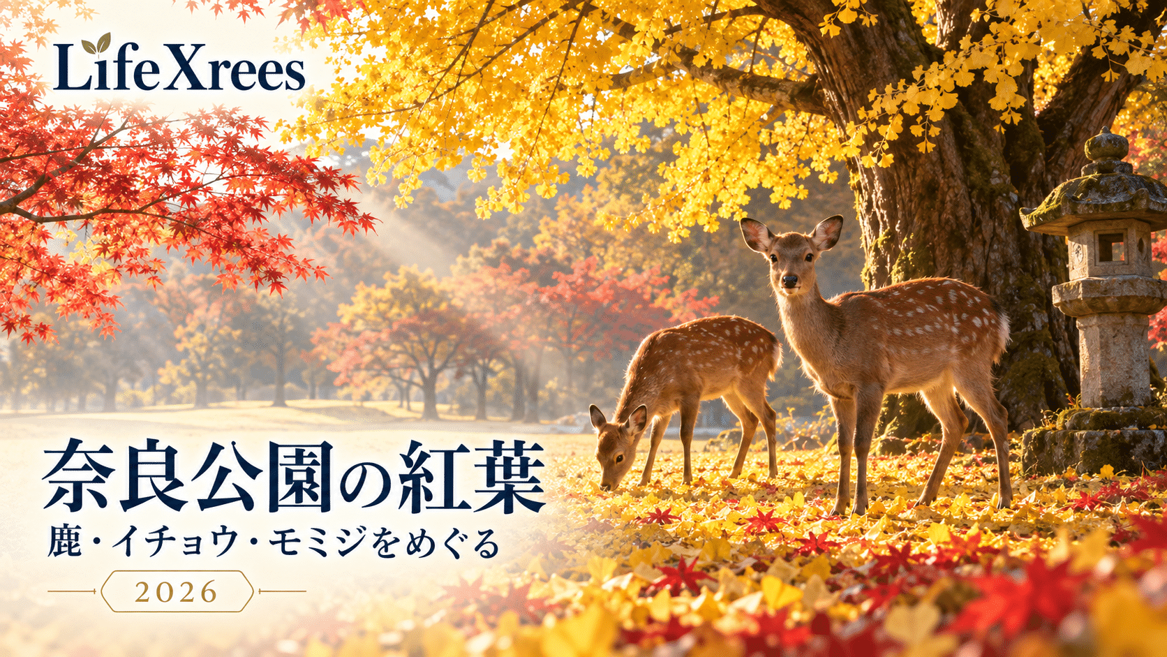奈良公園の紅葉2026｜鹿とイチョウ・モミジを見られる場所と歩き方