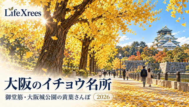 大阪のイチョウ名所2026|御堂筋・大阪城公園など見頃とアクセスを比較