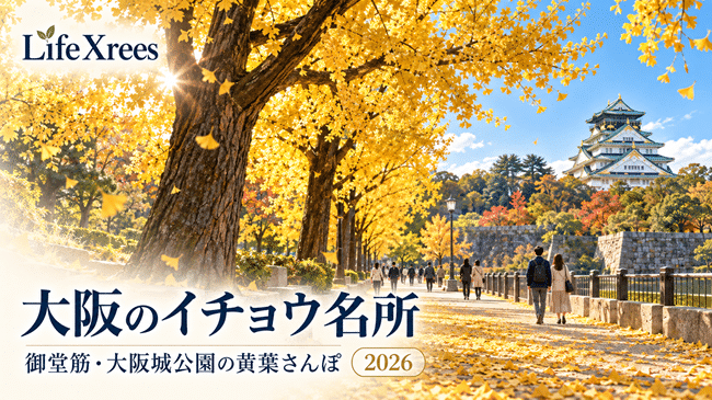 大阪のイチョウ名所2026｜御堂筋・大阪城公園など見頃とアクセスを比較