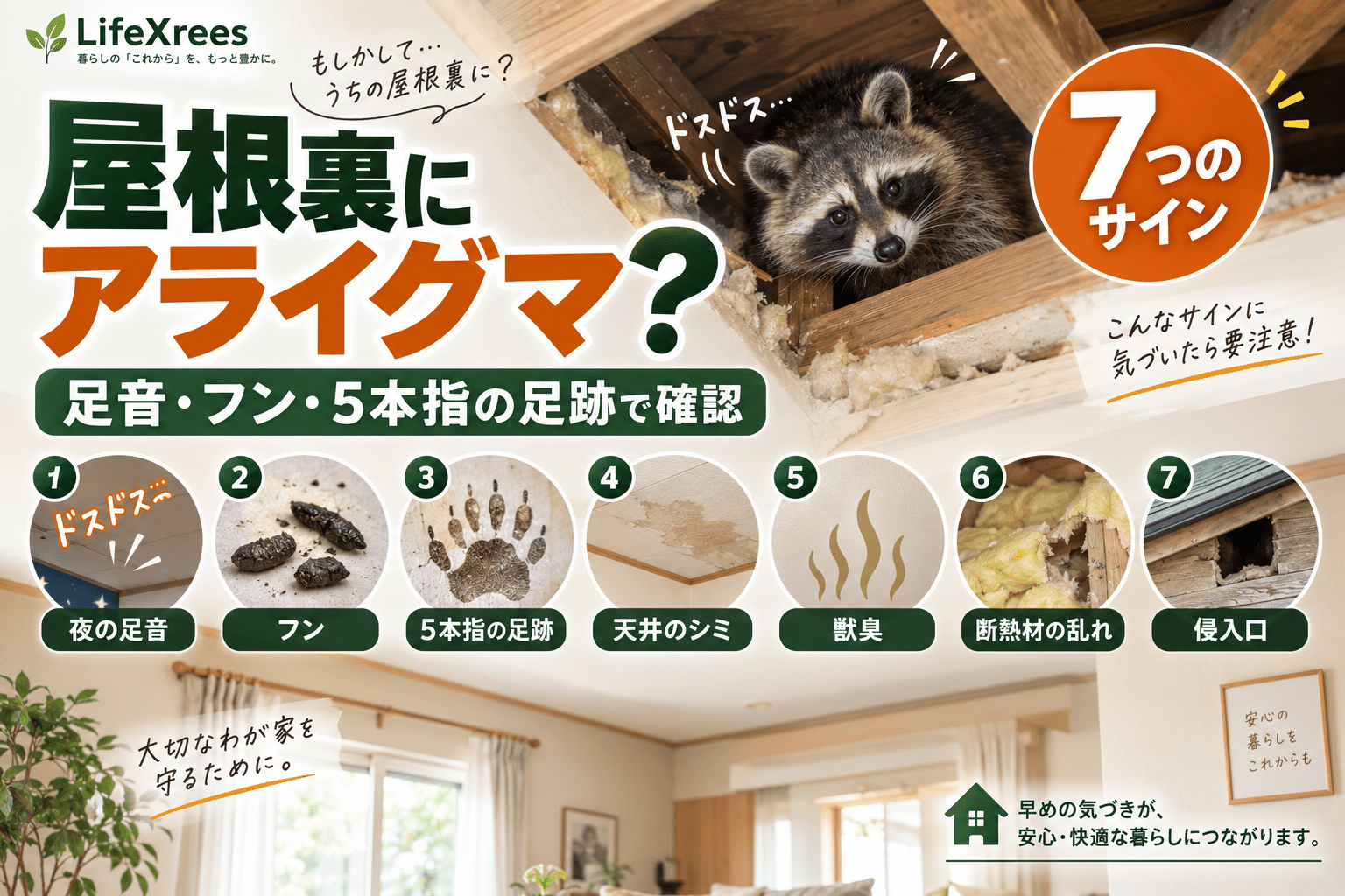 屋根裏にアライグマがいるサイン7つ|足音・フン・5本指の足跡で見分ける方法