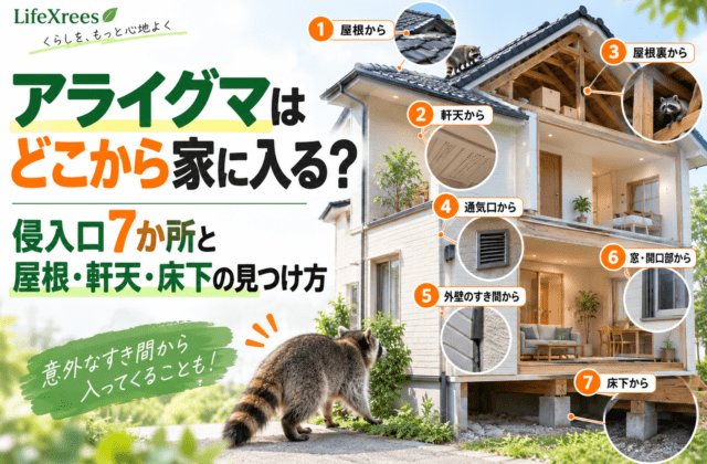 アライグマはどこから家に入る？侵入口7か所と屋根・軒天・床下の見つけ方
