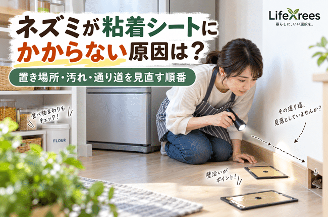 ネズミが粘着シートにかからない原因は？置き場所・汚れ・通り道を見直す順番