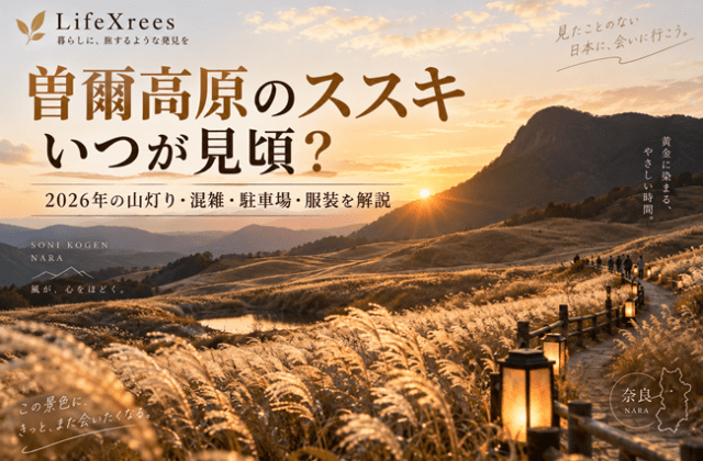 曽爾高原のススキはいつが見頃？2026年の山灯り・混雑・駐車場・服装を解説