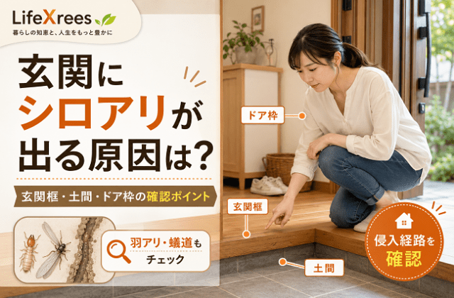 玄関にシロアリが出る原因は？のアイキャッチ画像