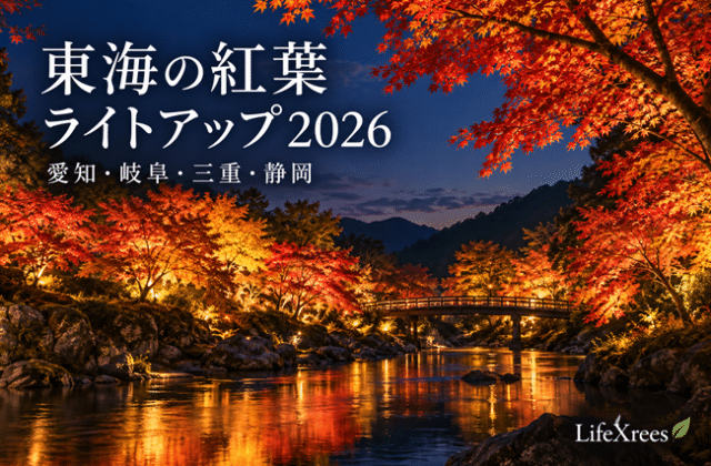 東海の紅葉ライトアップ2026|愛知・岐阜・三重・静岡の夜紅葉を比較