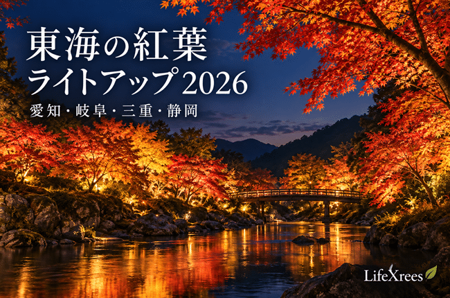 東海の紅葉ライトアップ2026|愛知・岐阜・三重・静岡の夜紅葉を比較
