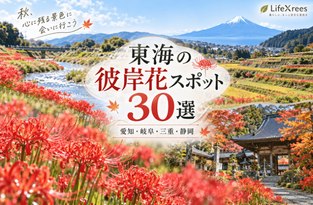 東海の彼岸花スポット30選｜愛知・岐阜・三重・静岡の見頃と穴場【2026】