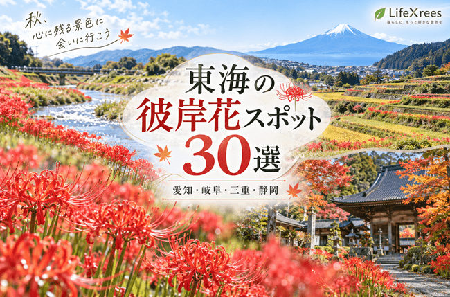 東海の彼岸花スポット30選｜愛知・岐阜・三重・静岡の見頃と穴場【2026】