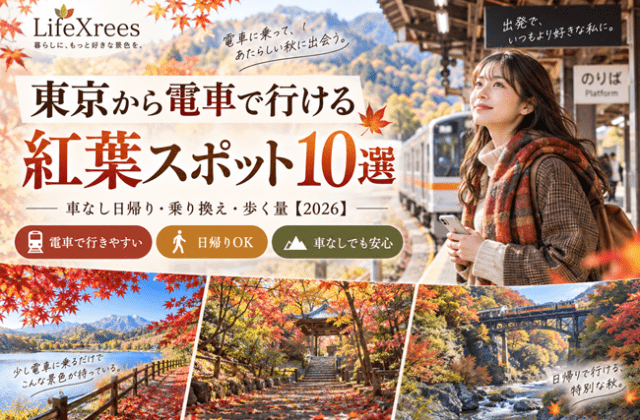 東京から電車で行ける紅葉スポット10選｜車なし日帰り・乗り換え・歩く量【2026】