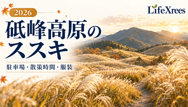 砥峰高原のススキ2026｜駐車場・散策時間・服装と帰り道の注意点