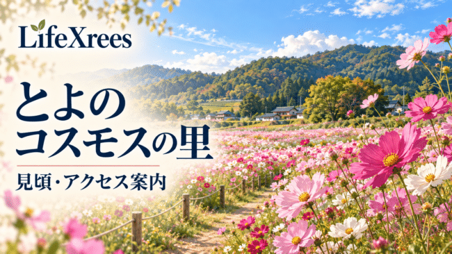 とよのコスモスの里の見頃・入園料・駐車場|バスと予約制タクシーでの行き方