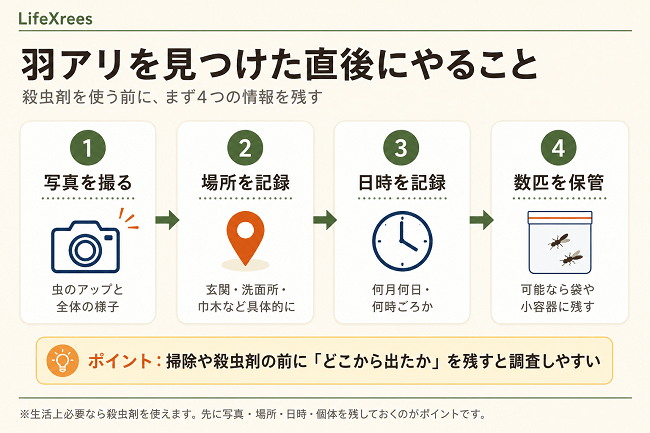 羽アリを見つけた直後に記録する4つのポイント